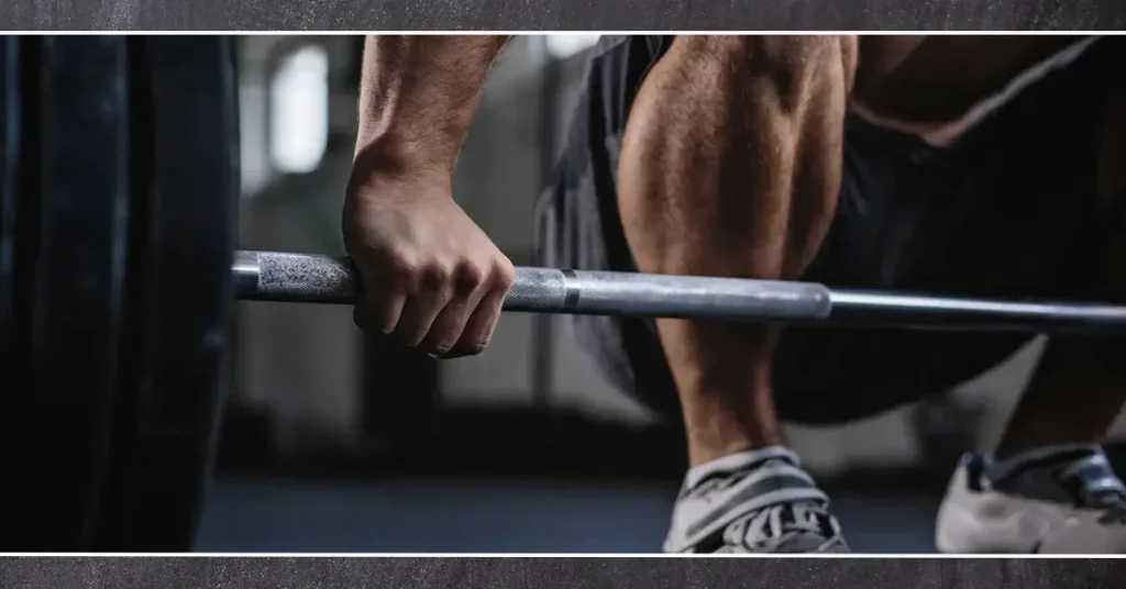 5 day workout split