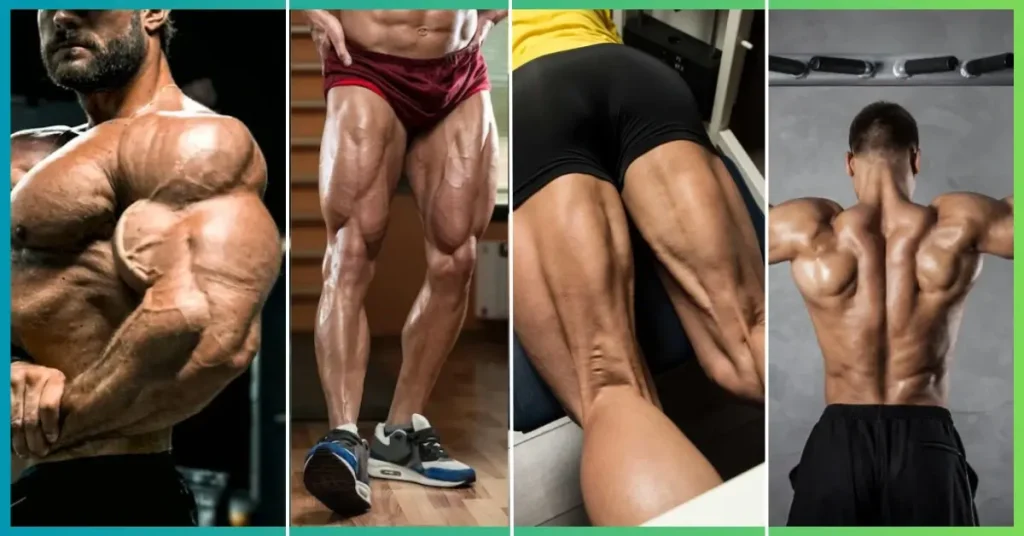 5 day workout split