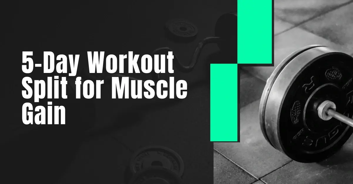 5 day workout split
