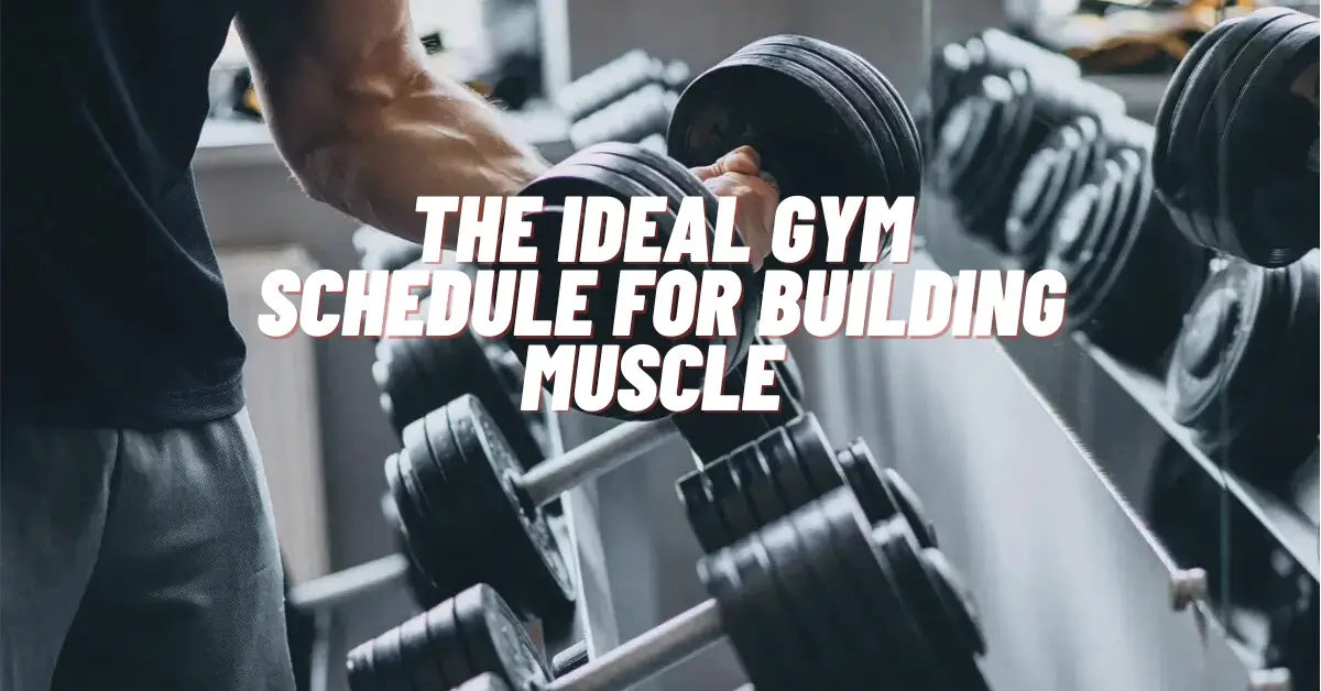 the ideal gym schedule